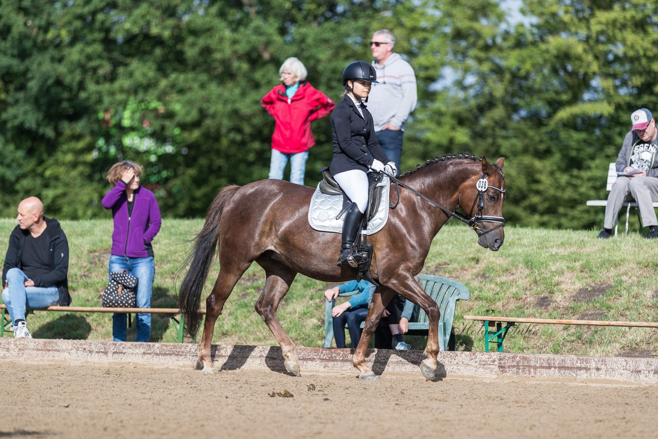 Bild 323 - Pony Akademie Turnier